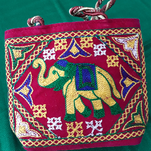 BOLSA INDIANA 