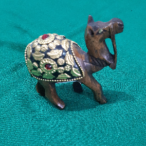 CAMELO