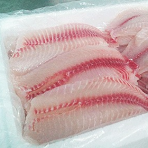 FILé TILáPIA SCALLOP